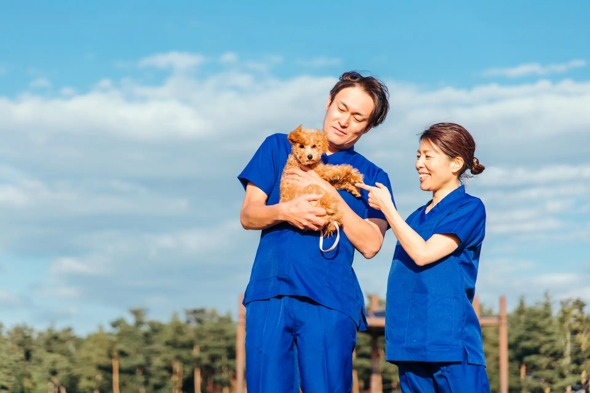 動物病院のスタッフ