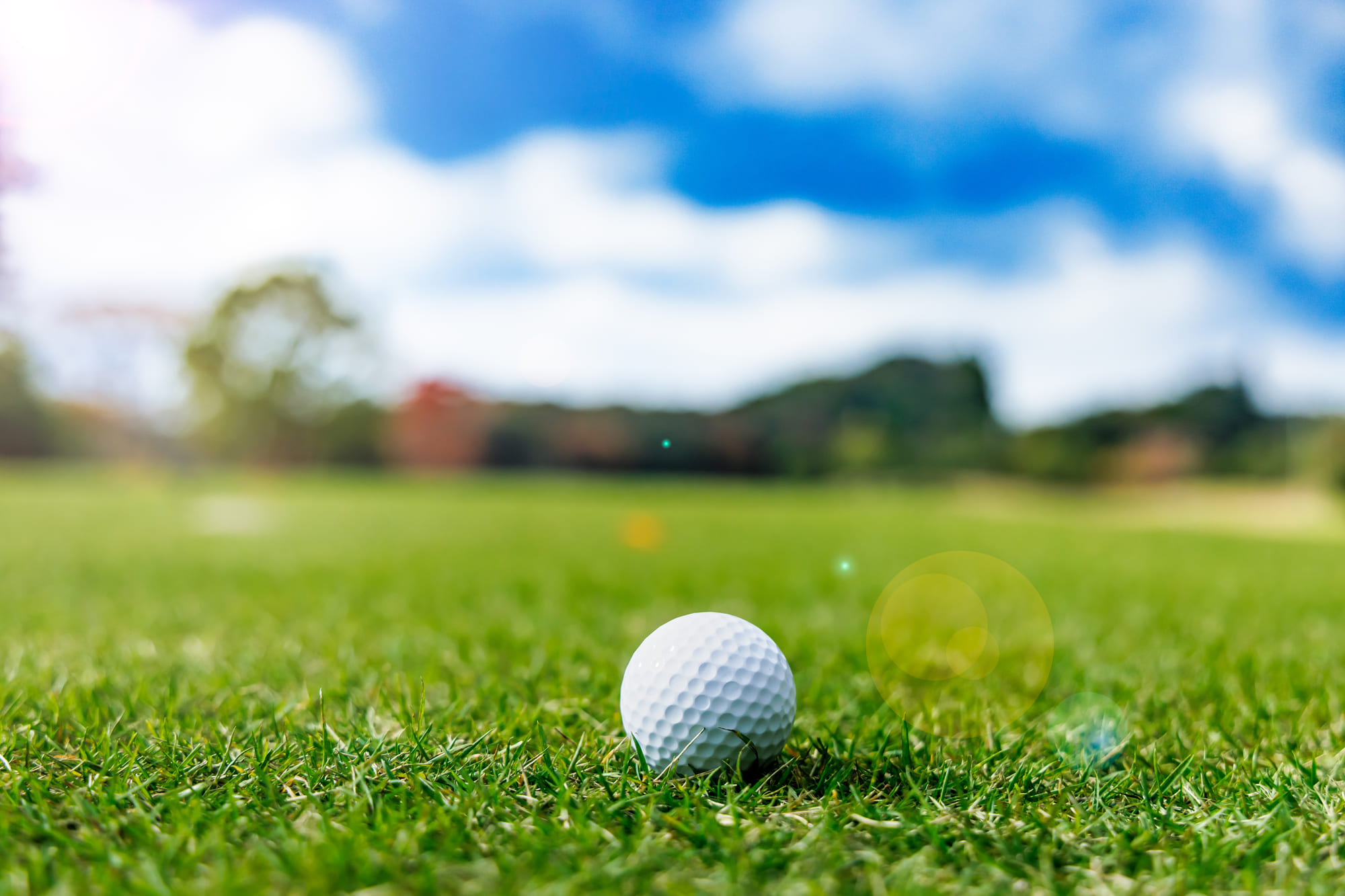屋外ゴルフ練習場ビジネスの特徴